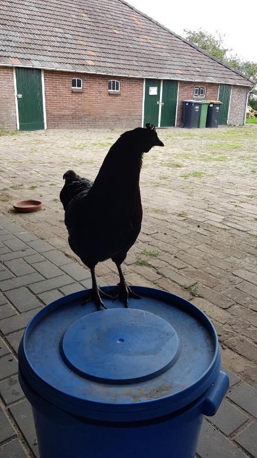 Appartement Logeerruimte In Gerenoveerde Boerderij In Wachtum Extérieur photo