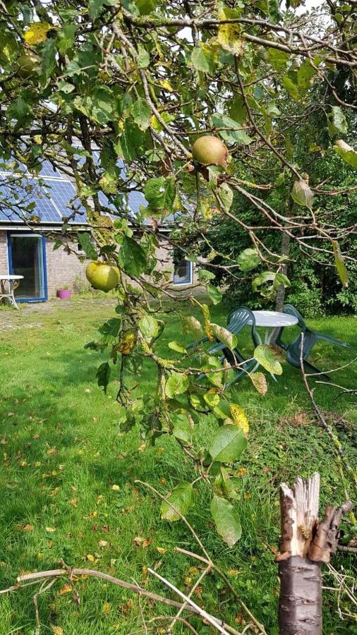 Appartement Logeerruimte In Gerenoveerde Boerderij In Wachtum Extérieur photo