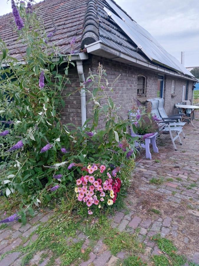 Appartement Logeerruimte In Gerenoveerde Boerderij In Wachtum Extérieur photo